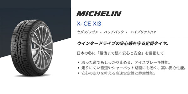 X-ICE XI3