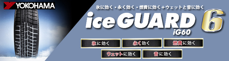 アイスガード6（ice GUARD6）