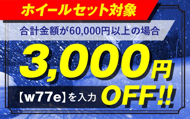 web限定3,000円オフクーポン クーポンコード「w77e」とご入力ください