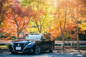 写真1