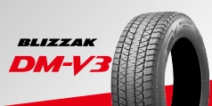 BLIZZAK DM-V3