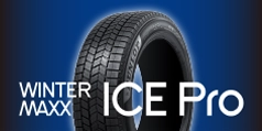 WNTER MAXX ICE PRO