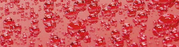 フレッシュキーパー・お手入れが”楽”になるイメージ図