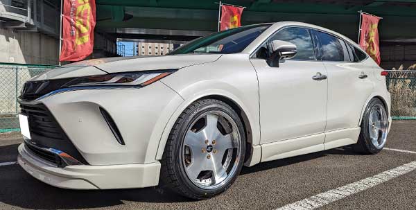 LANVEC LDZ装着イメージ