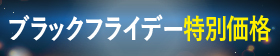 ブラックフライデー特別価格